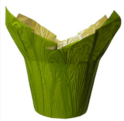 I vasi da fiori naturali verdi della carta kraft Coprono/piccoli vasi da fiori decorativi dell'interno