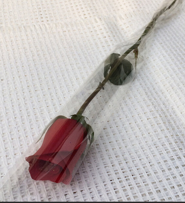 Singole maniche di Rosa del fiore trasparente biodegradabile per il negozio di fiori/vendita al dettaglio