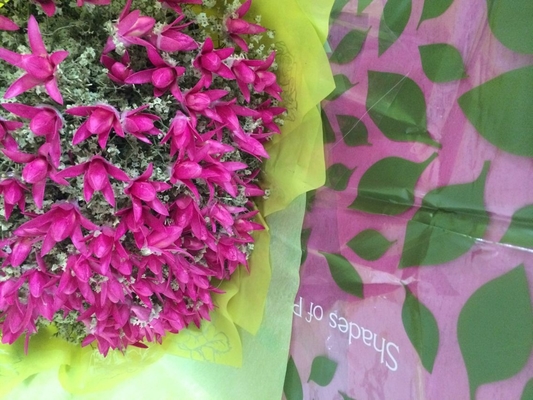 Il fiore non tessuto stampato collega Rolls con un manicotto all'ingrosso per lo spostamento regalo di nozze/dei fiori freschi